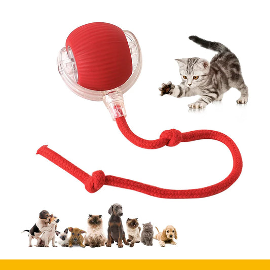 Pelota Inteligente con sensor de movimiento para mascotas