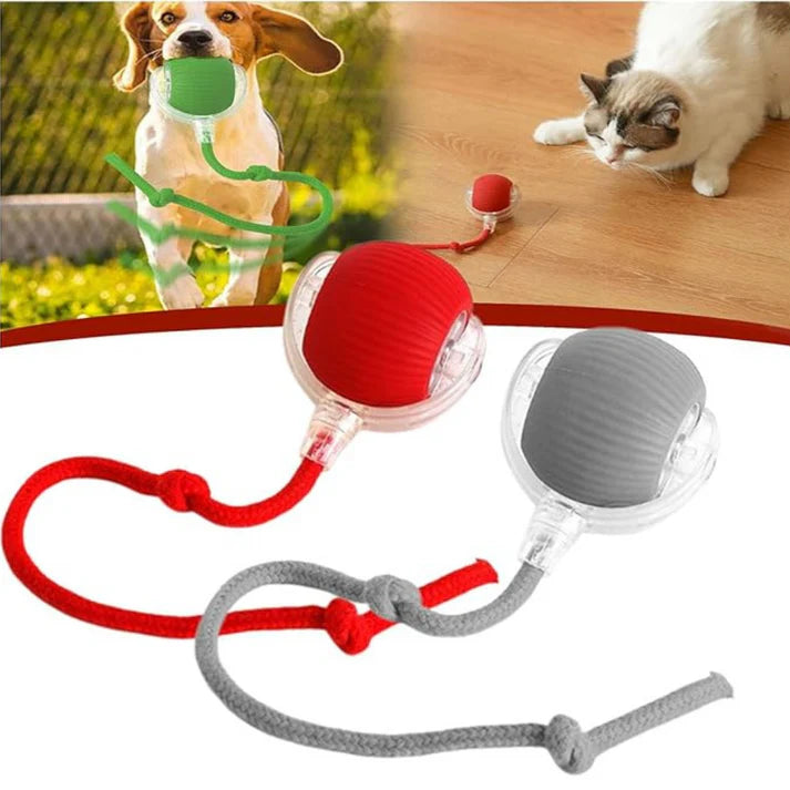 Pelota Inteligente con sensor de movimiento para mascotas